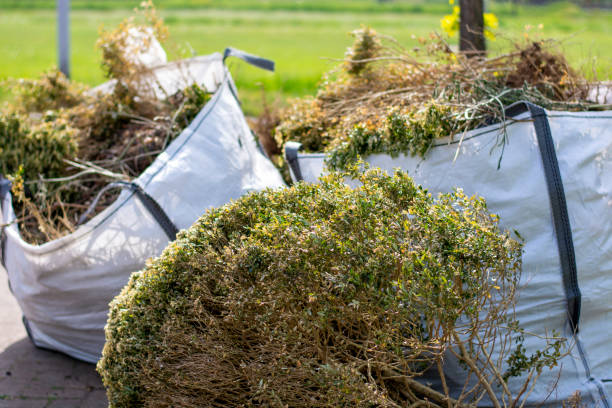 Best Trash Removal Near Me  in La Junta, CO